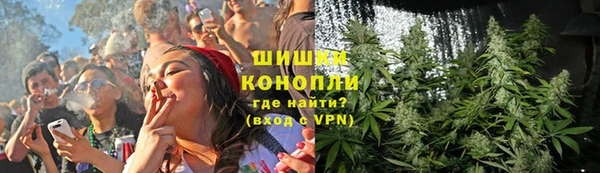 мяу мяу мука Гусиноозёрск
